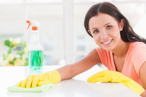 Local domestic cleaning service for homes in Swisscottage