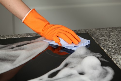 Gutter cleaning service for Swisscottage homes and businesses