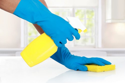 Deep upholstery cleaning for a living room sofa in Swisscottage