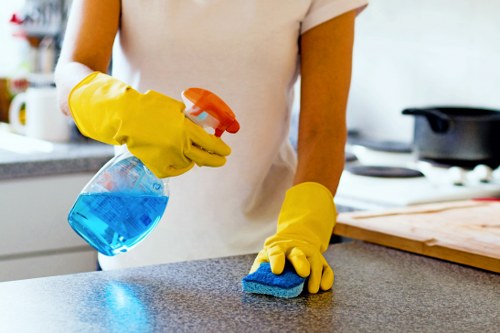 Professional hard floor cleaning service for Swisscottage homes and apartments