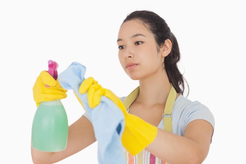 Carpet cleaning process for flats and offices in Swisscottage