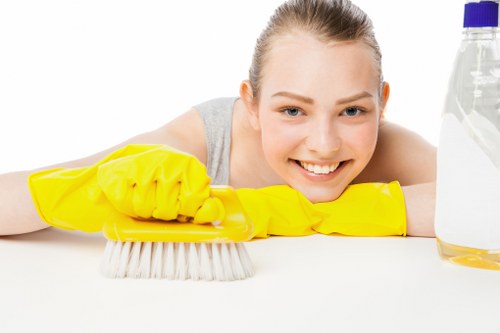 Professional deep cleaning for a Swiss Cottage family home