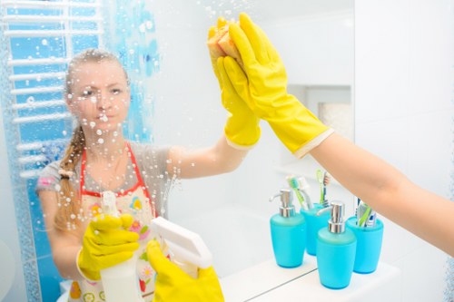 Regular home cleaning support for a Swisscottage household