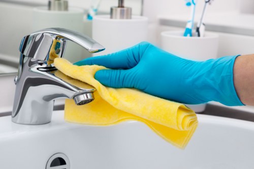Regular domestic cleaning in Swisscottage kitchen and living room