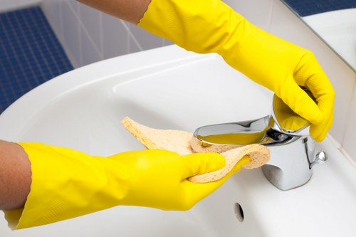 Screen-reader friendly Swiss Cottage carpet cleaning webpage