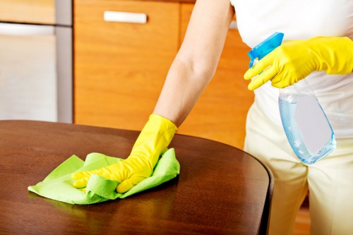 Detailed deep cleaning of a residential property in Swisscottage